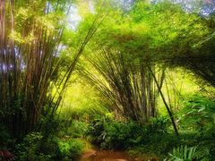 -桃花涧