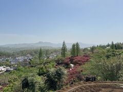 -四明山国家森林公园