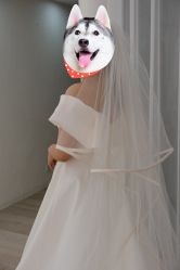 -LaMousse婚纱买手店