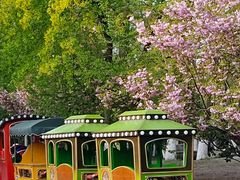 -长白岛森林公园