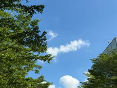 -深圳大学(丽湖校区)