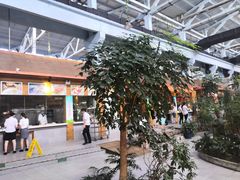 -森谷美食公园(杨行店)