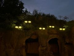 -杭州野生动物世界