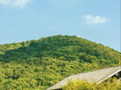 -老山国家森林公园