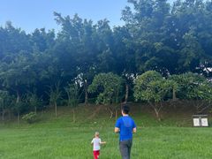 -风云岭森林公园