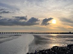 -宝安西湾红树林湿地公园