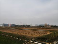 -光明小镇欢乐田园