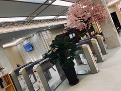 -汤里来温泉