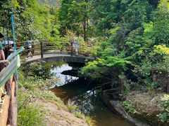 -马峦山郊野公园