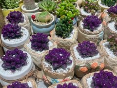 -循礼门鲜花花市(武汉循礼门店)