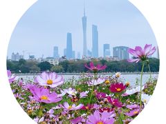 -海珠湖公园