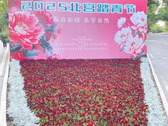 -北宫国家森林公园