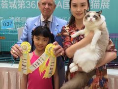 -谐和益家动物医院·免疫绝育·血液透析·宠保定点医院(高新伊藤分院)