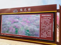 -南湖湿地公园