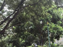 -铁路文化公园