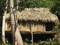 -西双版纳基诺山寨