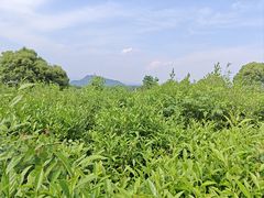 -会稽山峡洞漂流-上青古道