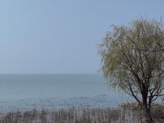 -东山风景区(洞庭东山)