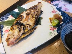 -达摩君日本料理(泰海花园小区店)