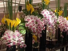 -南海渔村(珠江新城店)