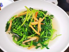 盐水西洋菜-粤凤佬