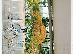 -羊山湖公园