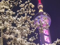 -东方明珠广播电视塔