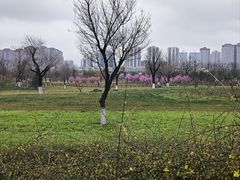 -汉长安城未央宫国家考古遗址公园