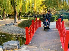 -玲珑塔公园