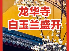-龙华寺