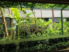 -顺德渔村·岭南一号