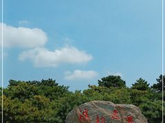 -塘沽森林公园