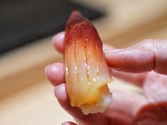 -鮨鳳