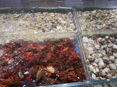 -亚马逊海鲜自助(梅溪湖步步高店)