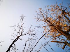 -嵖岈山风景区