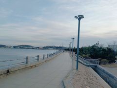 -青岛沙子口国家中心渔港