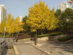 -苏州河梦清园环保主题公园