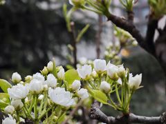 -木塔寺遗址生态公园