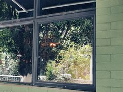 -ADO KAFE(大学城店)