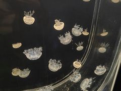 -哈尔滨极地公园