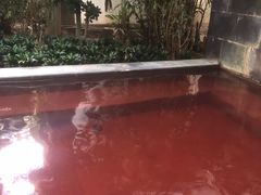 -仁爱团泊湖温泉中心