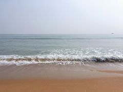 -渡海小渔村.老辈日照菜