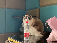 -零纪元VR体验馆·桌游(黄浦店)