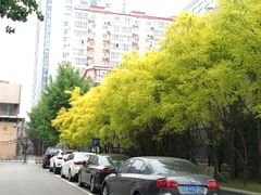 -中央民族大学