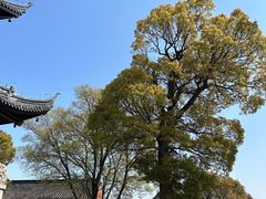 -穹窿山景区
