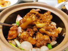 干葱红焖猪手-望乡楼上海菜(日月光店)