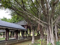 -飞来湖湿地公园