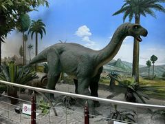 -国家自然博物馆