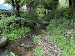 -中国茶叶博物馆(双峰馆区)