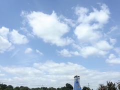 -鹅湖玫瑰文化园